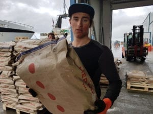 Losser ved Tromsø fryseterminal